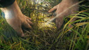 DÉPARTEMENT DE LOIRE-ATLANTIQUE : La biodiversité, un détail ? (vœux 2026)